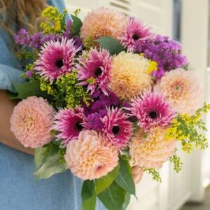 images (23)